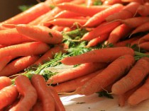 Un village landais bientôt chauffé avec des ...