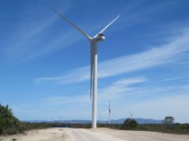 EDF lance son premier parc éolien en Afrique