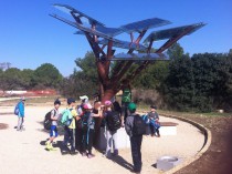 Le premier arbre photovoltaïque prend racine à ...