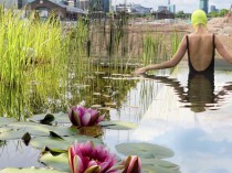 Un bassin naturel au c&oelig;ur de Londres