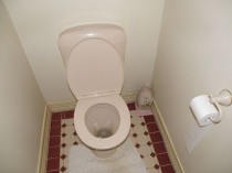 A New York, des toilettes publiques rénovées ...