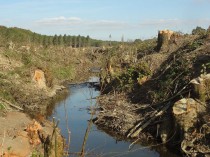 Sivens&#160;: le projet initial abandonné et ...