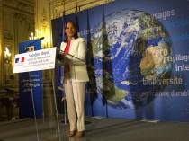 COP21 : l'Accord de Paris entrera en vigueur le 4 ...