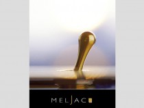 Meljac s'implante physiquement aux Etats-Unis