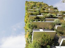 Après Milan, une forêt verticale va pousser à ...