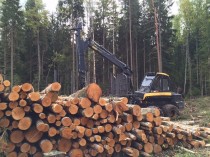 De la forêt jusqu'à la préfabrication, suivez ...