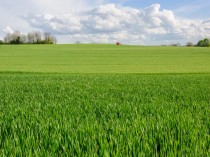 Biodiversité, Aménagement Urbain et ...