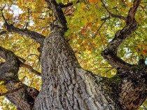 Auvergne-Rhône-Alpes&#160;: nouvel appel à ...