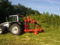 La filière chanvre ne veut pas partir en fumée