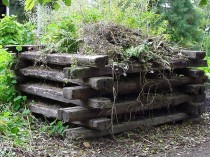 Bois traité à la créosote&#160;: l'Anses en ...