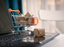 Maison, bricolage, jardinage&#160;: le e-commerce ...