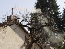 Pollution de l'air&#160;: le bois-énergie se ...