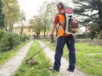 Paysagisme&#160;: quelles stratégies pour attirer ...