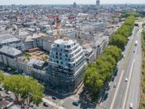 Une Arborescence s'élance dans le ciel d'Angers