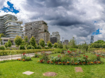 Les habitants de grandes villes pas tous égaux ...