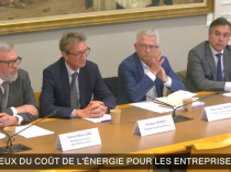 Assurance et énergie : les professionnels du bois ...