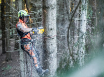 Dewalt mise sur les secteurs de l'aménagement, de ...