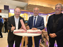 La Capeb et la Cité de l'architecture s'allient ...