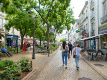 La route se cherche de nouvelles voies