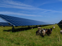 Le gouvernement crée un Observatoire national de ...