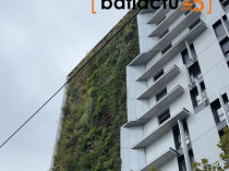 C'est dans l'actu : une fa&ccedil;ade v&eacute;g&eacute;tale ...