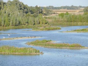 De l'exploitation des carrières à la biodiversité