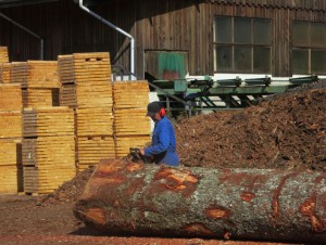 Wood Tech, un nouveau réseau dédié aux start-up du bois