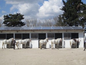 Un hôtel camarguais opte pour l'autoconsommation