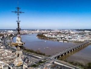 Bordeaux casse le bitume avec une première micro-forêt urbaine