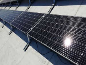 Le Parlement vote la révision des tarifs solaires, le secteur craint pour son activité