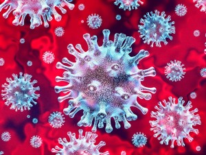 Coronavirus : Nordbat reporté à une date ...