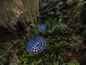 Rainforest, une installation poétique à ...