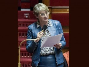 Il faudra pérenniser le fonds friche (M-N. Battistel, députée)