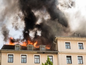 Bois et risque incendie : la préfecture de police publie sa doctrine et sème le trouble