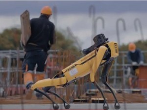 Le chien robot Spot sur un chantier de Bouygues Construction
