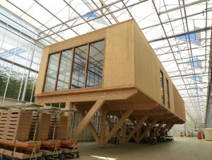 Au milieu des serres bioclimatiques, des bureaux tout en bois en forme de conteneur