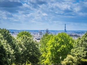 La première forêt urbaine parisienne verra le jour à Montparnasse