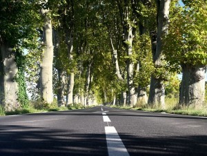 Patrimoine routier : une prise de conscience lente mais réelle de la dégradation du réseau