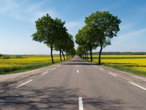 Trois départements s'unissent pour reprendre la route nationale 19