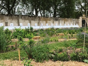 À la biennale de Versailles, des paysagistes invitent à ne faire plus qu'un avec le vivant