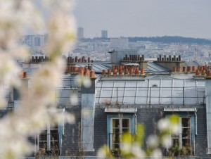 Les sénateurs rejettent la prolongation du plafonnement de la hausse des loyers