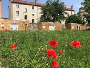 Hébergement d'urgence : les tiny houses, l'atout social de la métropole de Lyon