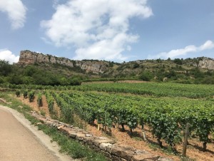 La pierre sèche, atout patrimonial et social du Grand site de Solutré