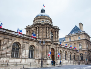 Abaissement des seuils de TVA : La commission des ...