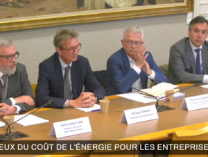 Assurance et énergie : les professionnels du bois ...