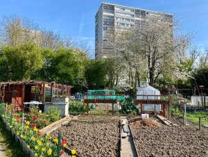 Comment Rig-Orangis repense l'urbanisme avec un ...
