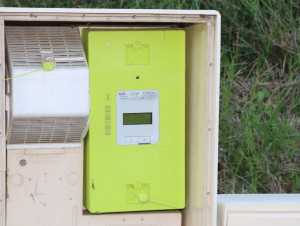Fraudes sur les compteurs Linky : Enedis lance  ...