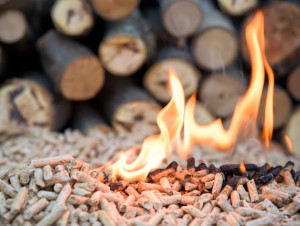 Chaudière au granulé : l'État coupe l'aide, la ...