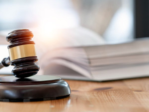 La hausse des d&eacute;faillances "poursuit son ...