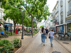 La route se cherche de nouvelles voies